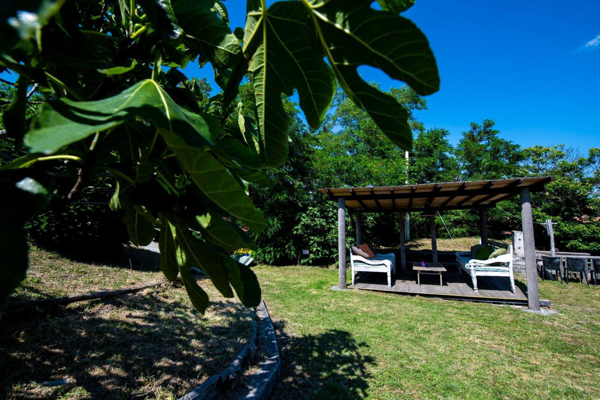 211 - Appartamento Acacia, Terrazza Giardino E Piscina Carro Dış mekan fotoğraf