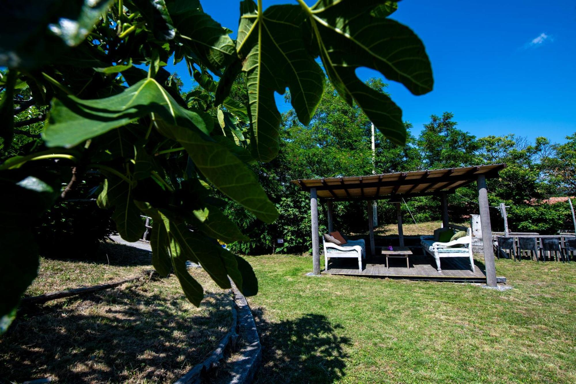 211 - Appartamento Acacia, Terrazza Giardino E Piscina Carro Dış mekan fotoğraf